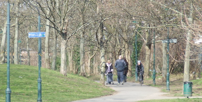 An alternative to Surrey Canal Path?