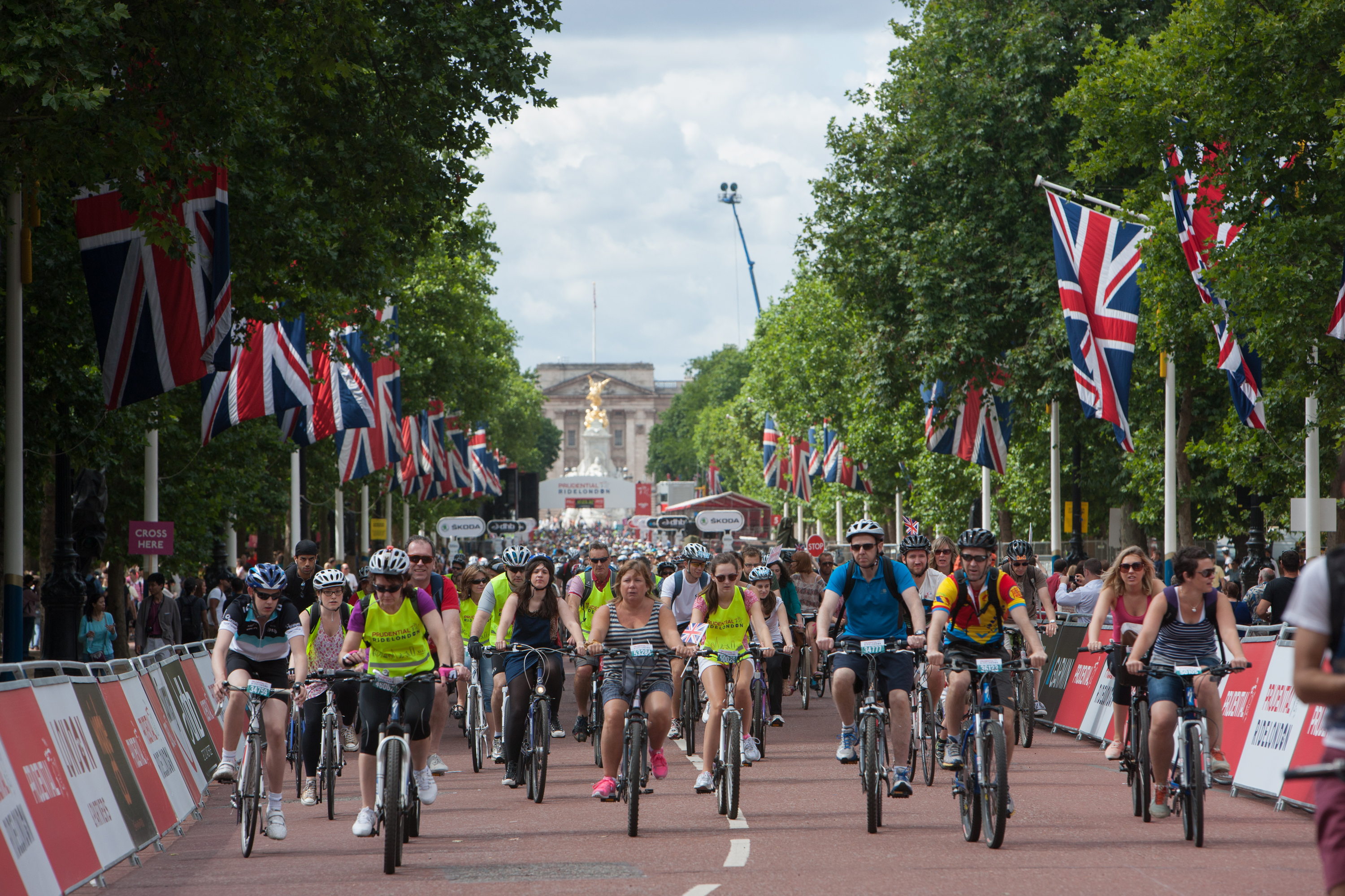 freecycle bikes